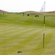 Ladda upp bild till gallerivisning, Reklampaket Greenfee Företag - Stora golfhäftet